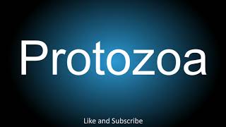 How To Correctly Pronounce - Protozoa.
