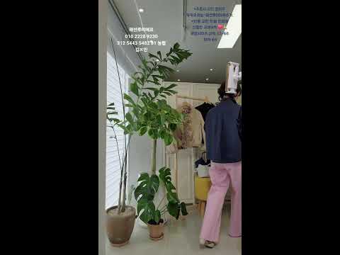 패션루미에르 2026/3/20