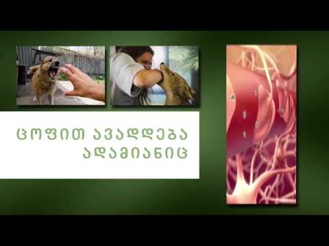 ვაქცინაცია