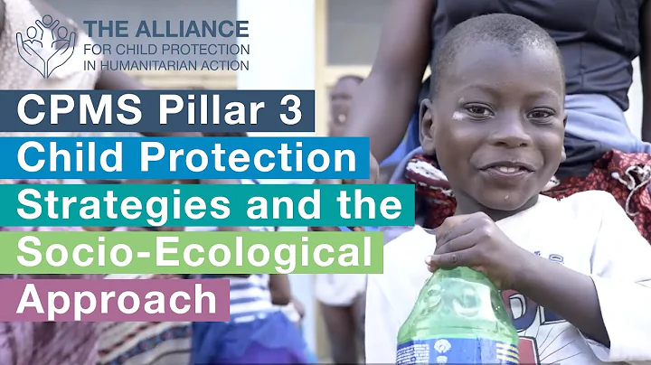 CPMS Pillar 3: Child Protection Strategies and the Socio-Ecological Approach - DayDayNews