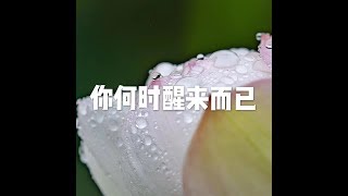 201609 你何时醒来而已22159
