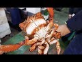 日本路邊小吃 - 蛙形蟹 沖繩海鮮