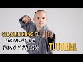 TÉCNICAS DE PUÑO Y PALMA | SHAOLIN KUNG FU | MAESTRO BRUNO TOMBOLATO