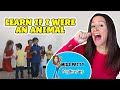 Learn animal song for children and kids  if i were an animal dance with patty shukla