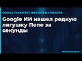 Google ИИ нашел редкую лягушку Пепе за секунды