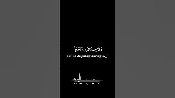 الحج اشهر معلومات||☘ياسر الدوسري شاشة سوداء سورة البقرة⚘#قران_كريم #yasseraldosary