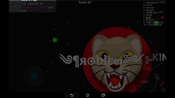 Blob.io INSTANT MERGE + CRAZY MODE + MASSIVE POPSPLIT.