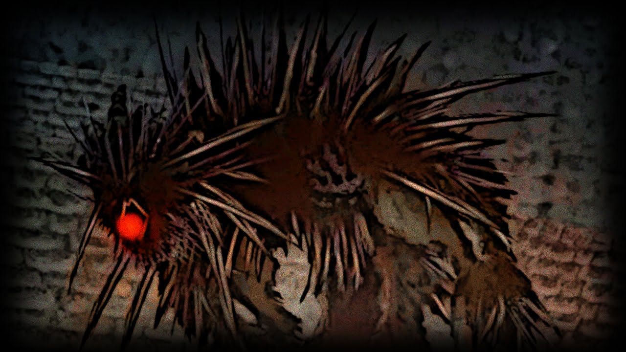 PLÖTZLICH ALLE SCHWACH LOL!! — Salt and Sanctuary - #5