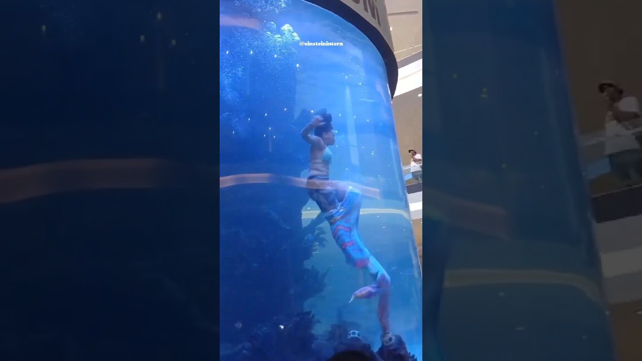 Русалка освободилась после того, как застряла под водой