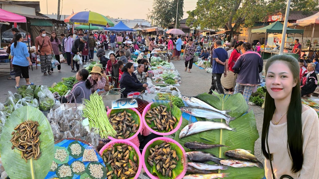 บรรยากาศบ้านๆ EP 10  | จั๊กจั่น ไข่มดแดง เขียด ตลาดนัดไทย ลาว อ.ชานุมาน จ.อำนาจเจริญ