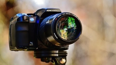 Camera Sound Effects All Sounds