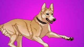 La leyenda de Hachiko, el perro más fiel de Japón