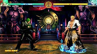 TERRY VS NIGHTMARE GEESE - FATAL FURY COTW