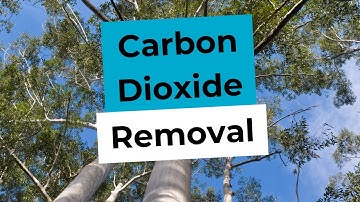 Permanent Carbon Dioxide Removal: For Net Zero and Beyond