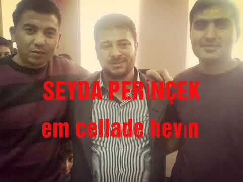 Seyda perinçek em cellade hevın