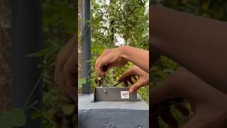 Amazing Arecanut Dehusking Tool