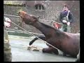 Overstroming Neer 1993
