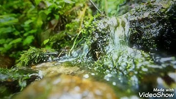 تلاوة خاشعة بصوت عذب ونقي