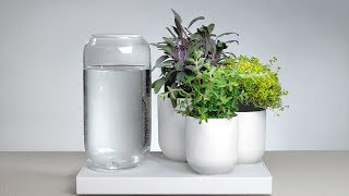 Простые и удобные способы самополива комнатных растений.