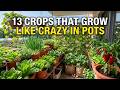 13 Vegetables That Produce The Most In Containers