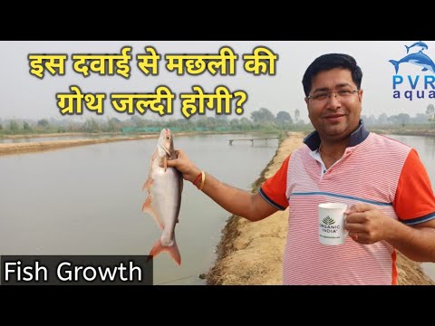 मछली की ग्रोथ के लिए दवाई । Medicine for fish