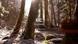 Relaxing Winter River ⎮ British Columbia