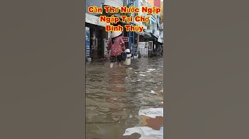 CẦN THƠ NƯỚC NGẬP 483 #shorts