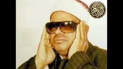 نوادر الشيخ عنتر سعيد مسلم سورة هود وقصار السور