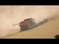 Harvest on the palouse