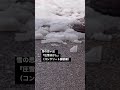 雪の思い出『圧雪はがし（コンクリート舗装編）』#shorts