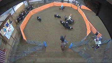 Big Sky Ranch Sorting Saddle Series #2 - #8 Ranch Hand H/C - Round #2 - Ride #5