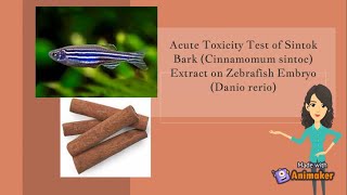Acute Toxicity Test Of Sintok Bark Cinnamomum Sintoc Extract On Zebrafish Embryo Danio Rerio-G2