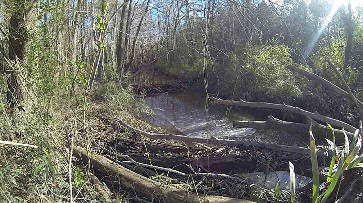 Home Made Tannerite vs Beaver Dam