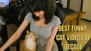 😹 Best Cat Videos of the Decade | Ultimate Funny Cat Compilation 2025