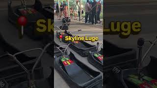 Most viral activity - Skyline Luge in Mont Tremblant