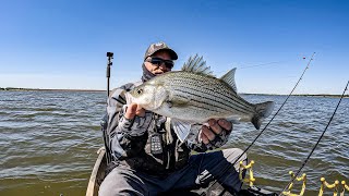 Lake Proctor Hybrids Plus Catfish for dinner!