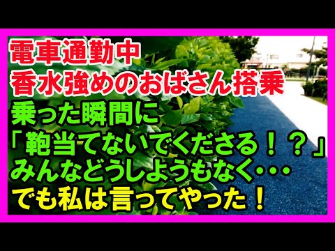 【スカッとする話】電車通勤中、香水強めのおばさんが搭乗。乗った瞬間に「鞄当てないでくださる！？」みんなはどうしようもなく…→でも、私は言ってやった！（スカッとカーニバル）