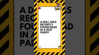 Dad Jokes A doll was recently found dead in a rice paddy