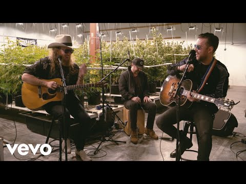 Brothers Osborne - A Couple Wrongs Makin' It Alright (Terrapin Care Station Sessions)
