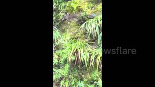 Guy annoys girlfriend with puns on a nature hike