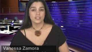 Information SearchEngineUpdate with Vanessa Zamora - 06-10-2008 Guide