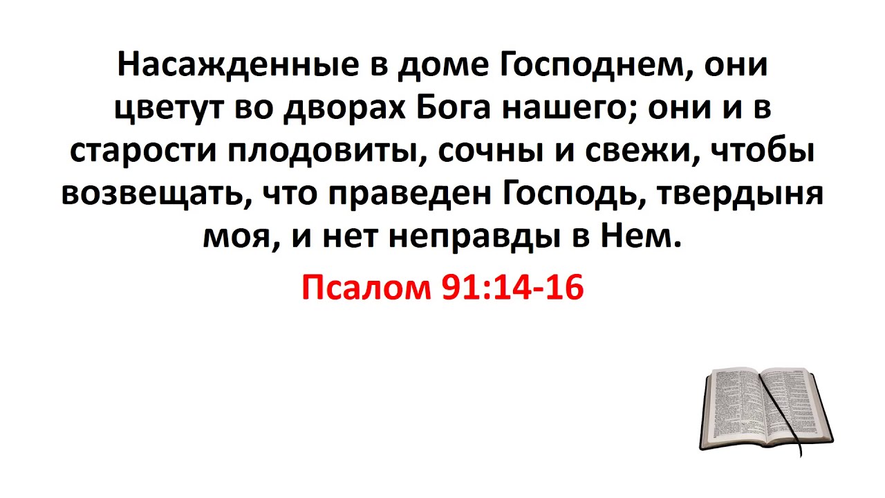 Псалом 91 читать. Псалом 91. Псалтырь 91. ПС 14 Библия. Псалтырь 91: 14-16.