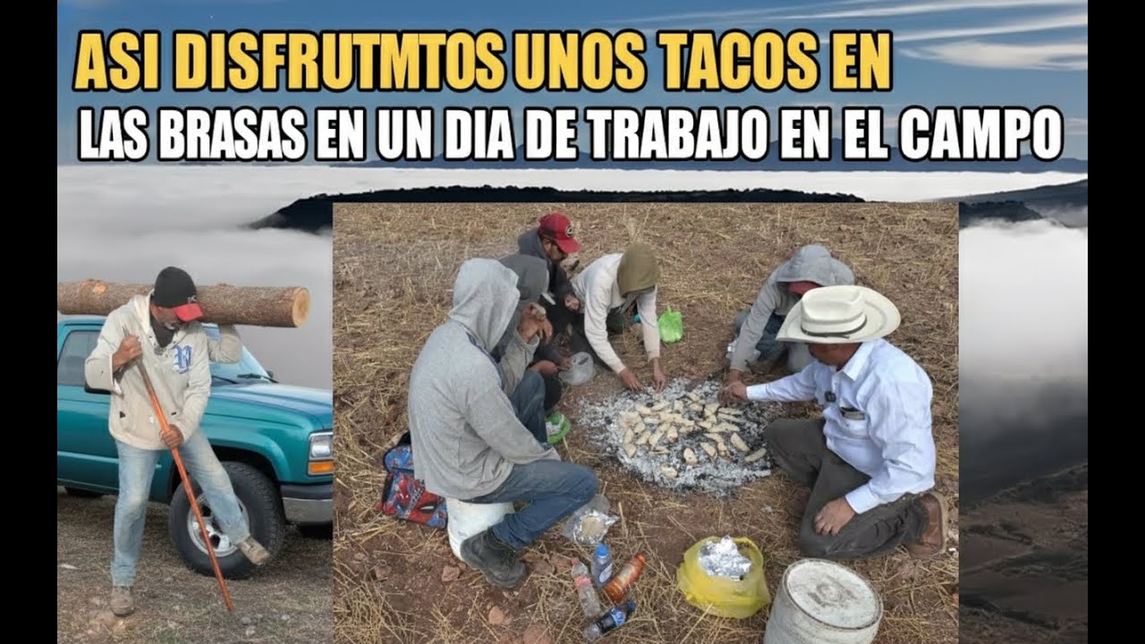 ASI DISFRUTAMOS UNOS TACOS EN LAS BRASAS EN UN DIA DE TRABAJO EN EL CAMPO