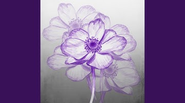 The Birthplace of a Disaster