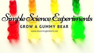 Simple Science Experiments for Kids S1 E2 Growing a Gummy Bear