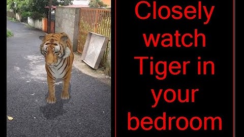 Watch Tiger in your bedroom - Google 3D - Augmented Reality - View in Your Space