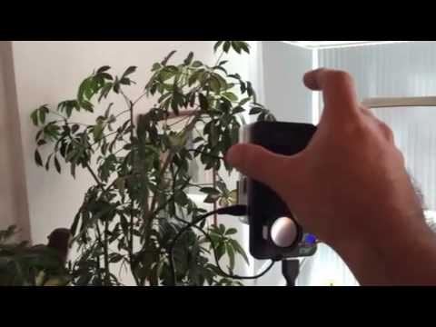 IBM Watson Visual Recognition Test