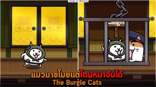 แมวมาขโมยแต่โดนหมาจับได้ The Burgle Cats