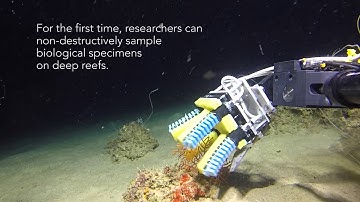 Soft Robotic Grippers for Deep-Sea Exploration