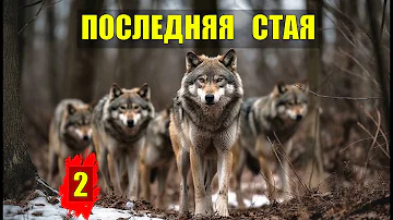 ВОЛКИ ОТОМСТИЛИ ОХОТНИКАМ ПОСЛЕДНЯЯ ВОЛЧЬЯ СТАЯ СУДЬБА ЛЕСНИКА в ЛЕСУ ИСТОРИИ из ЖИЗНИ СЕРИАЛ 2